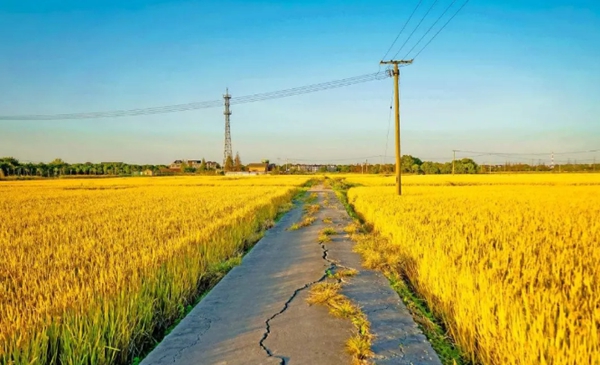 輕鋼別墅: 遠(yuǎn)離城市喧囂,獨(dú)享一方寧?kù)o(圖2) 鄉(xiāng)間風(fēng)景