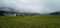 “梅雨季”看輕鋼別墅如何抵御南方的霉雨天？會生銹？不可能！